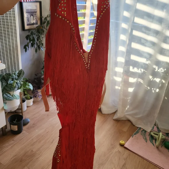 Elegant Red Fringe Dress - Picture 3 of 4